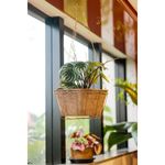 Kit Nutriplan Nutricoco Hexagonal para Plantas N15 1