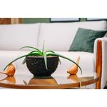 Vaso Nutriplan Luna Redondo para Plantas Cor Preto 17cm 1