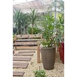 Vaso Nutriplan Treccia C nico para Plantas Cor Envelhecido 39cm 1