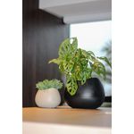 Vaso Nutriplan Texturizado Oval para Plantas Cor Areia 12cm 1