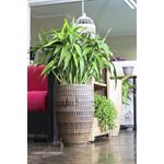 Vaso Nutriplan Bambu Oval para Plantas Cor Envelhecido 45cm 1