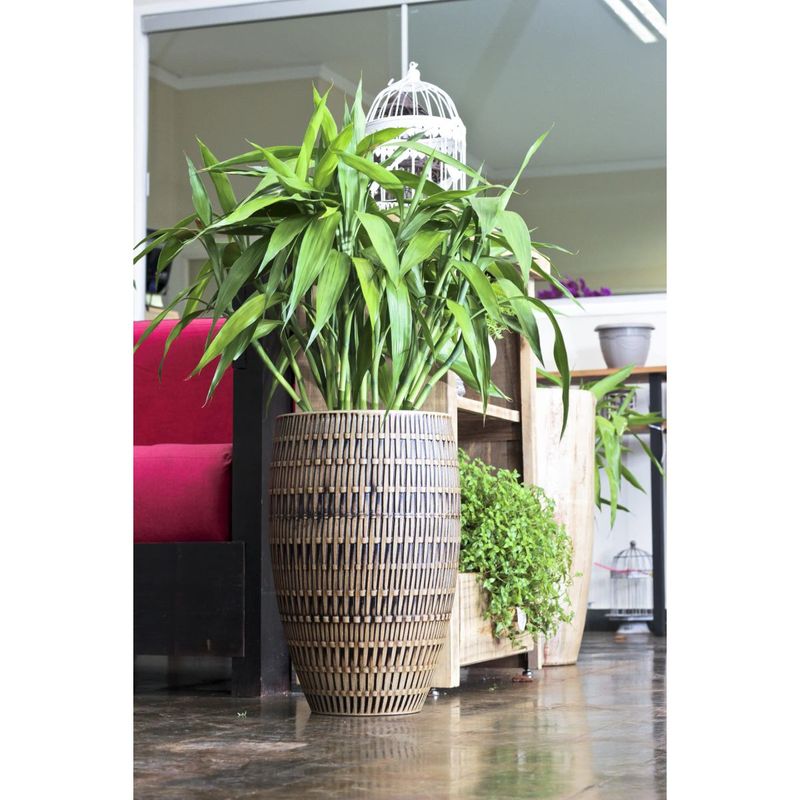 Vaso Nutriplan Bambu Oval para Plantas Cor Envelhecido 45cm 1