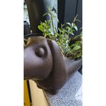 Cachep  Nutriplan Mascote Cachorro para Vaso Cor Caf  Imperial 43cm 2