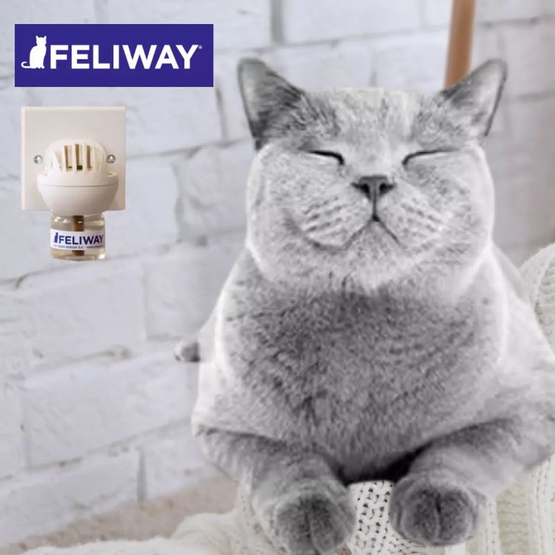 Difusor e Refil Ceva Feliway Classic para Gatos 48ml 4
