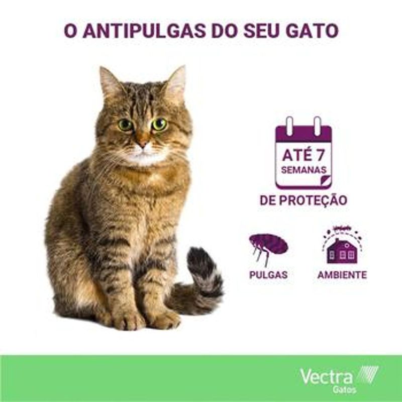 Antipulgas Ceva Vectra 1ml para Gatos at  10kg - Cont m 1 pipeta 2