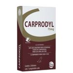 Anti-Inflamat rio Ceva Carprodyl 75mg para C es - Cont m 14 comprimidos 0