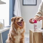 Mousse Ceva Douxo S3 Calm para C es e Gatos 150ml 3