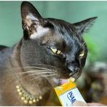 Petisco Churu para Gatos Galinha com Queijo - Pacote com 04 unidades de 14g cada 3