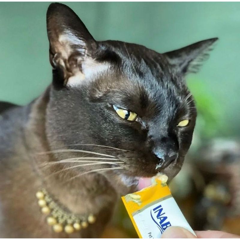 Petisco Churu para Gatos Galinha com Queijo - Pacote com 04 unidades de 14g cada 3