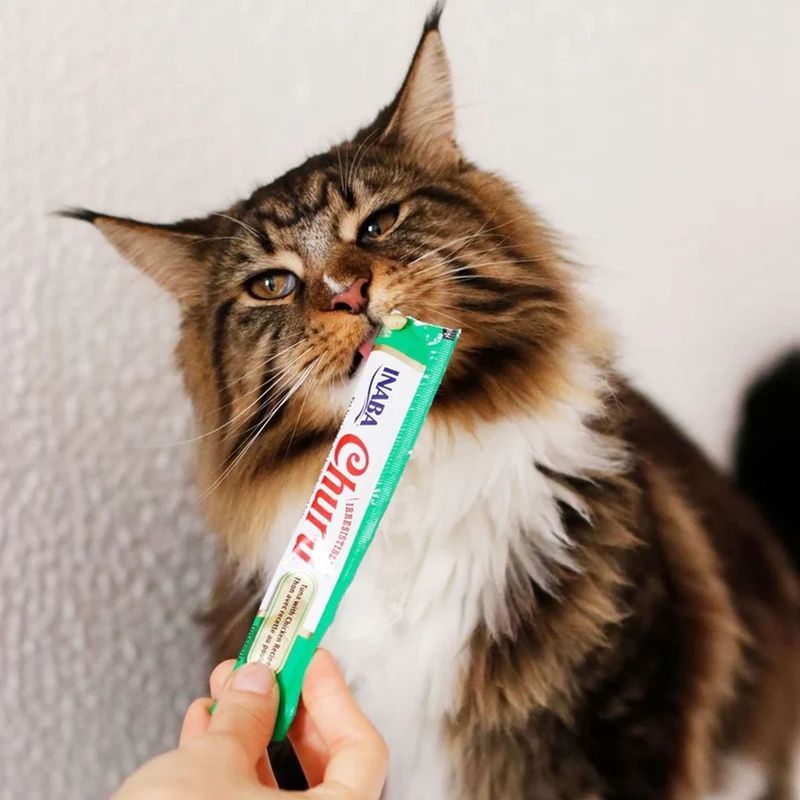 Petisco Churu para Gatos Atum e Galinha - Pacote com 04 unidades de 14g cada 3