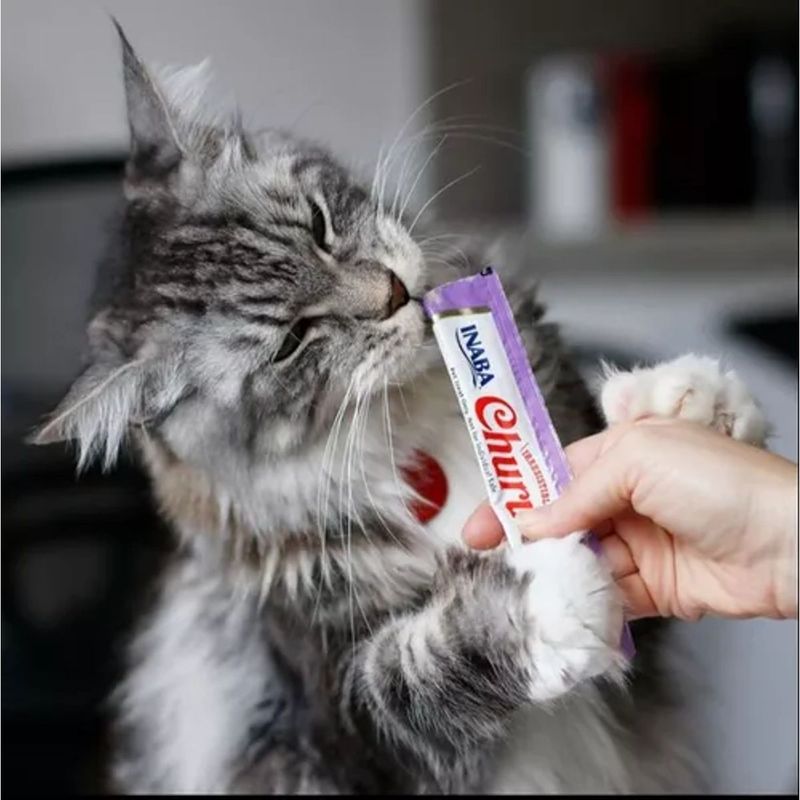 Petisco Churu para Gatos Galinha com aroma de Camar o - Pacote com 04 unidades de 14g cada 3