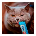 Petisco Churu para Gatos Galinha com aroma de Caranguejo - Pacote com 04 unidades de 14g cada 3