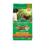 Ra  o Seca Dog Chow para C es Adultos Porte Mini e Pequeno Carne  Frango e Arroz 1kg 0