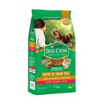 Ra  o Seca Dog Chow para C es Adultos Porte Mini e Pequeno Carne  Frango e Arroz 1kg 1