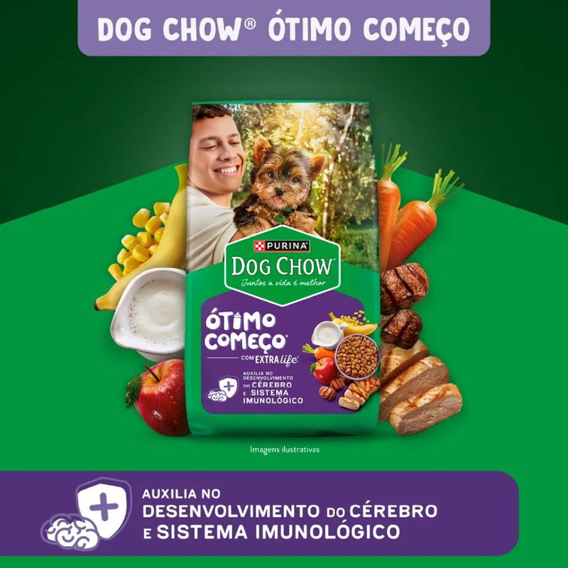 Ra  o Seca Dog Chow para C es Filhotes Porte Mini e Pequeno Carne  Frango e Arroz 1kg 2