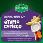 Ra  o Seca Dog Chow para C es Filhotes Porte Mini e Pequeno Carne  Frango e Arroz 1kg 3