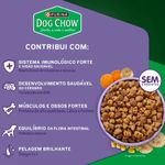Ra  o Seca Dog Chow para C es Filhotes Porte Mini e Pequeno Carne  Frango e Arroz 1kg 4