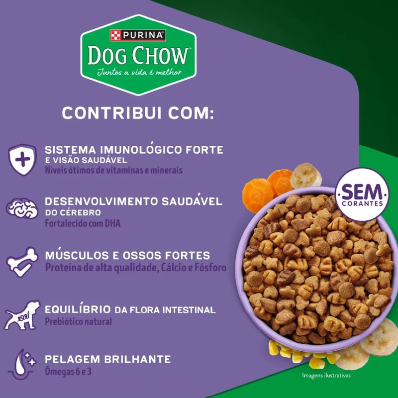 Ra  o Seca Dog Chow para C es Filhotes Porte Mini e Pequeno Carne  Frango e Arroz 1kg 4