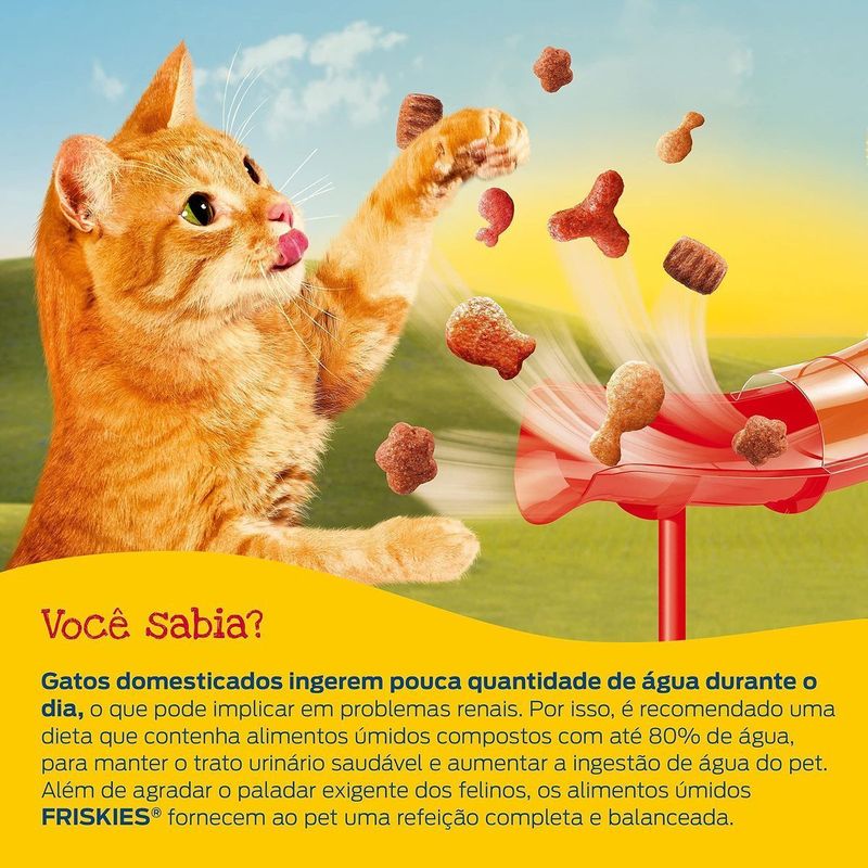 Ra  o  mida Friskies para Gatos Adultos Cordeiro ao Molho Sach  85g 2