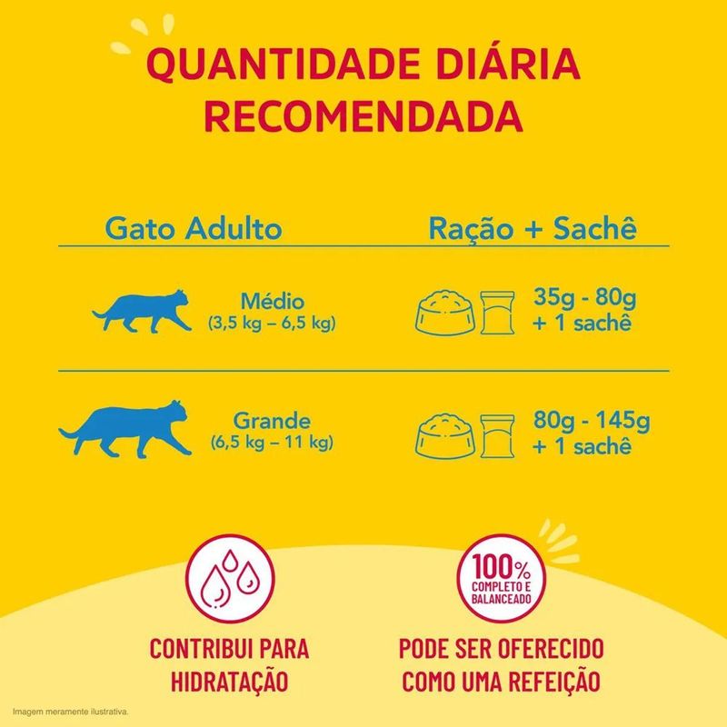 Ra  o  mida Friskies para Filhotes Carne ao Molho Sach  85g 3
