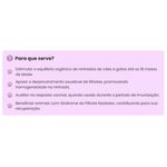 Sistema de Terapia Homeopet Belfilhote para C es e Gatos Filhotes 30ml 1