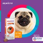 Antipulgas e Carrapatos Bravecto  C es 4 5 a 10kg 250mg 1 Comp  Mastig vel MSD Sa de Animal 2