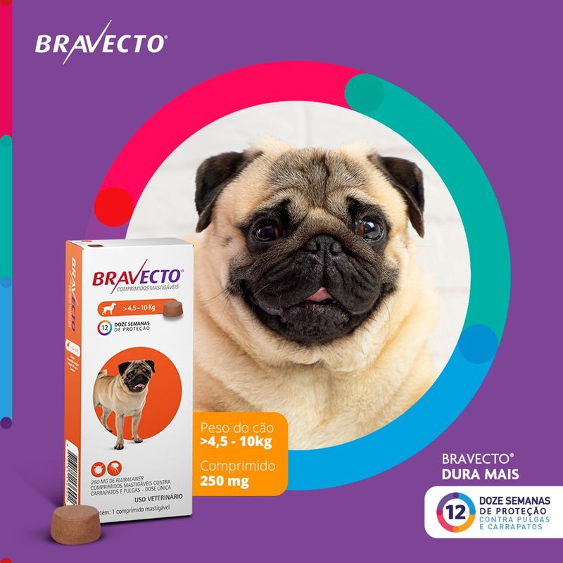 Antipulgas e Carrapatos Bravecto  C es 4 5 a 10kg 250mg 1 Comp  Mastig vel MSD Sa de Animal 2