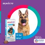 Antipulgas e Carrapatos Bravecto  C es 20 a 40kg 1000mg 1 Comp  Mastig vel MSD Sa de Animal 2