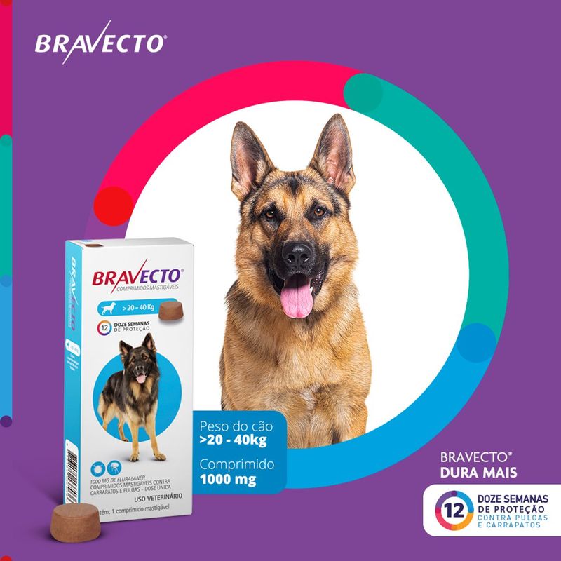 Antipulgas e Carrapatos Bravecto  C es 20 a 40kg 1000mg 1 Comp  Mastig vel MSD Sa de Animal 2