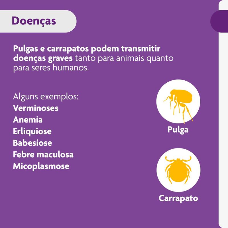 Antipulgas e Carrapatos Bravecto  C es 20 a 40kg 1000mg 1 Comp  Mastig vel MSD Sa de Animal 3