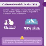 Antipulgas e Carrapatos Bravecto  C es 20 a 40kg 1000mg 1 Comp  Mastig vel MSD Sa de Animal 5