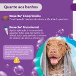 Antipulgas e Carrapatos Bravecto  C es 20 a 40kg 1000mg 1 Comp  Mastig vel MSD Sa de Animal 10
