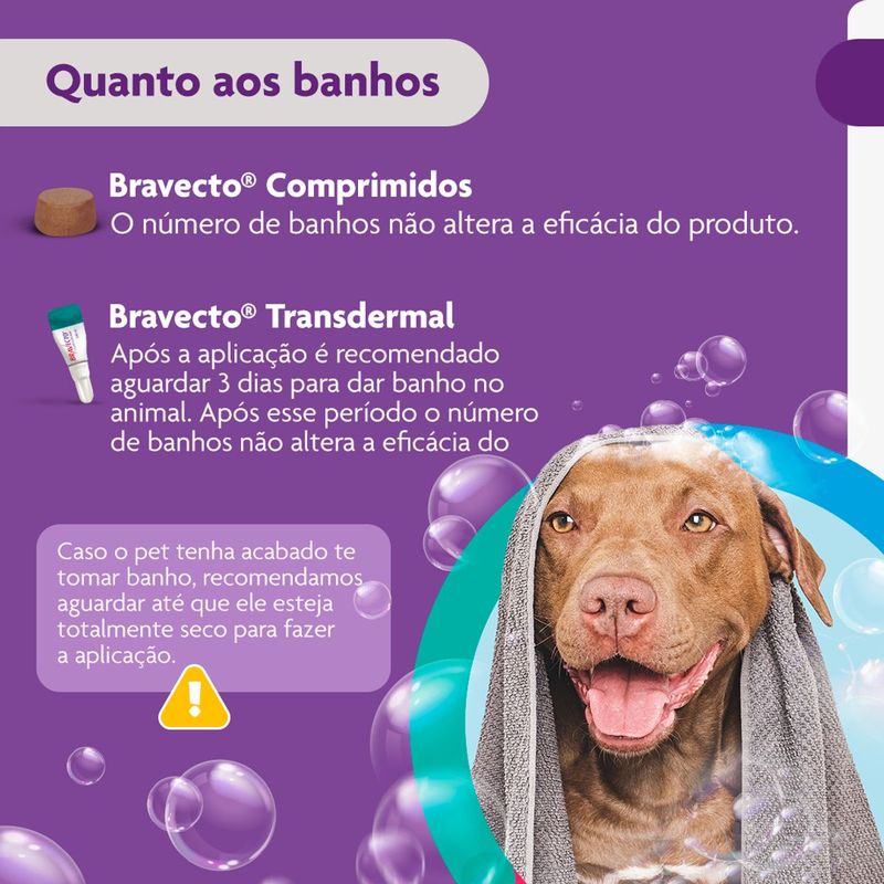 Antipulgas e Carrapatos Bravecto  C es 20 a 40kg 1000mg 1 Comp  Mastig vel MSD Sa de Animal 10