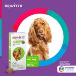 Antipulgas e Carrapatos Bravecto  C es 10 a 20kg 500mg 1 Comp  Mastig vel MSD Sa de Animal 2