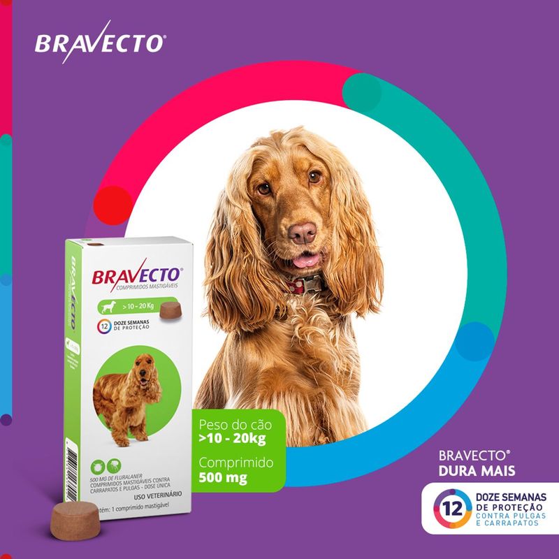 Antipulgas e Carrapatos Bravecto  C es 10 a 20kg 500mg 1 Comp  Mastig vel MSD Sa de Animal 2