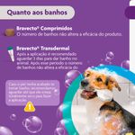 Antipulgas e Carrapatos Bravecto  C es 10 a 20kg 500mg 1 Comp  Mastig vel MSD Sa de Animal 10