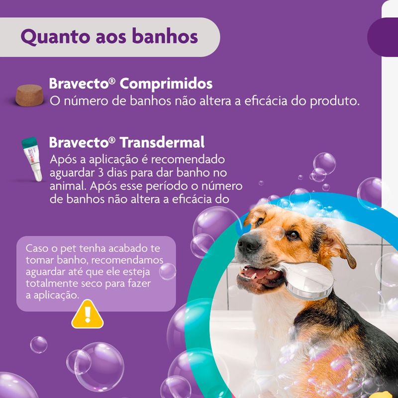 Antipulgas e Carrapatos Bravecto  C es 10 a 20kg 500mg 1 Comp  Mastig vel MSD Sa de Animal 10