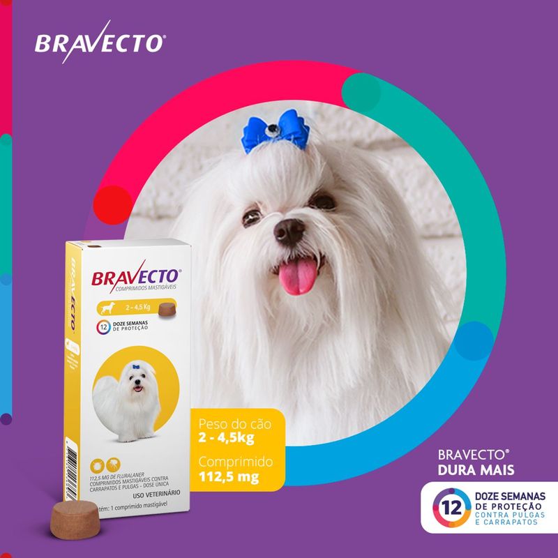 Antipulgas e Carrapatos Bravecto  C es 2 a 4 5kg 112 5mg 1 Comp  Mastig vel MSD Sa de Animal 2