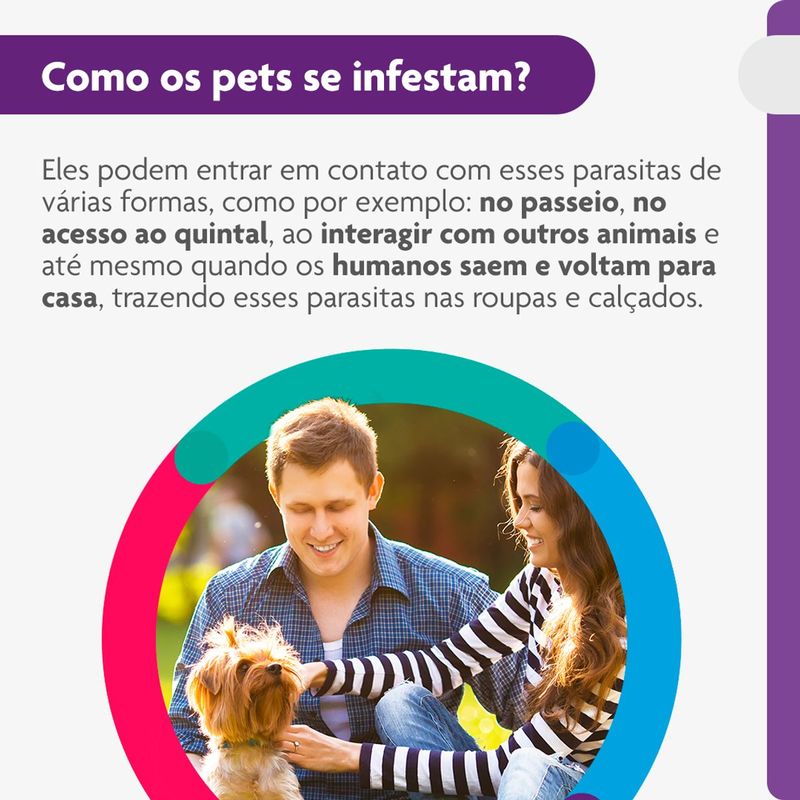 Antipulgas e Carrapatos Bravecto  C es 2 a 4 5kg 112 5mg 1 Comp  Mastig vel MSD Sa de Animal 4