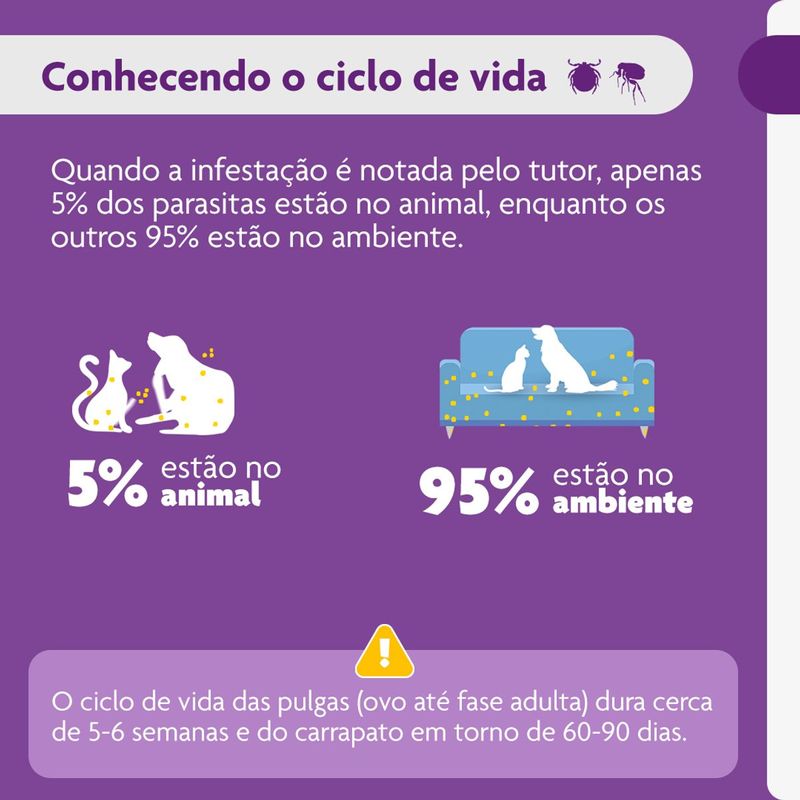 Antipulgas e Carrapatos Bravecto  C es 2 a 4 5kg 112 5mg 1 Comp  Mastig vel MSD Sa de Animal 5