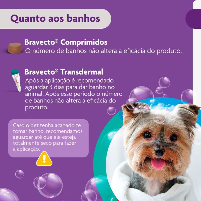 Antipulgas e Carrapatos Bravecto  C es 2 a 4 5kg 112 5mg 1 Comp  Mastig vel MSD Sa de Animal 10