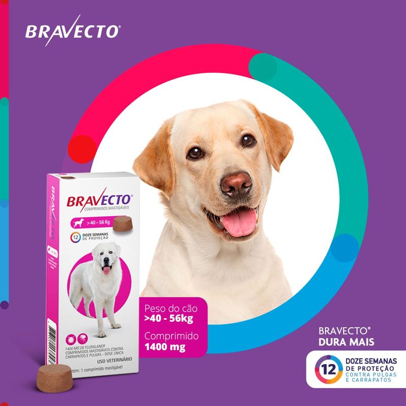 Antipulgas e Carrapatos Bravecto  C es 40 a 56kg 1400mg 1 Comp  Mastig vel MSD Sa de Animal 2