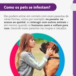 Antipulgas e Carrapatos Bravecto  C es 40 a 56kg 1400mg 1 Comp  Mastig vel MSD Sa de Animal 4