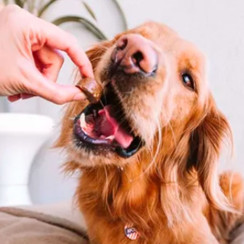 Antipulgas e Carrapatos Bravecto  C es 40 a 56kg 1400mg 1 Comp  Mastig vel MSD Sa de Animal 9