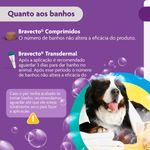 Antipulgas e Carrapatos Bravecto  C es 40 a 56kg 1400mg 1 Comp  Mastig vel MSD Sa de Animal 10