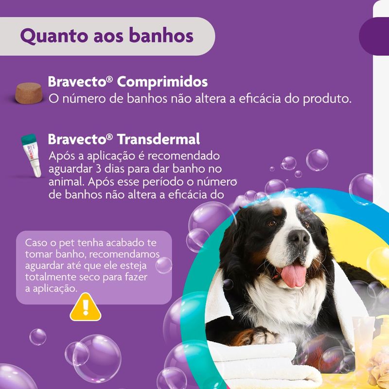 Antipulgas e Carrapatos Bravecto  C es 40 a 56kg 1400mg 1 Comp  Mastig vel MSD Sa de Animal 10