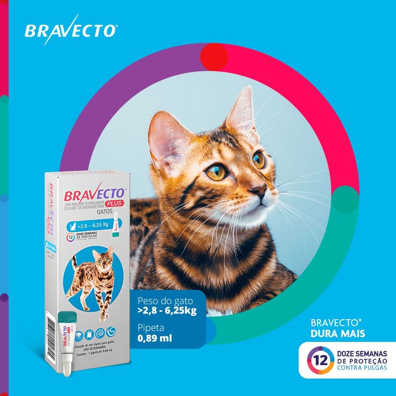 Antipulgas  Sarna de Ouvido e Verminoses Bravecto  Gatos Transdermal Plus 2 8 a 6 25kg 250mg 1 Pipeta 0 89ml MSD Sa de Animal 1