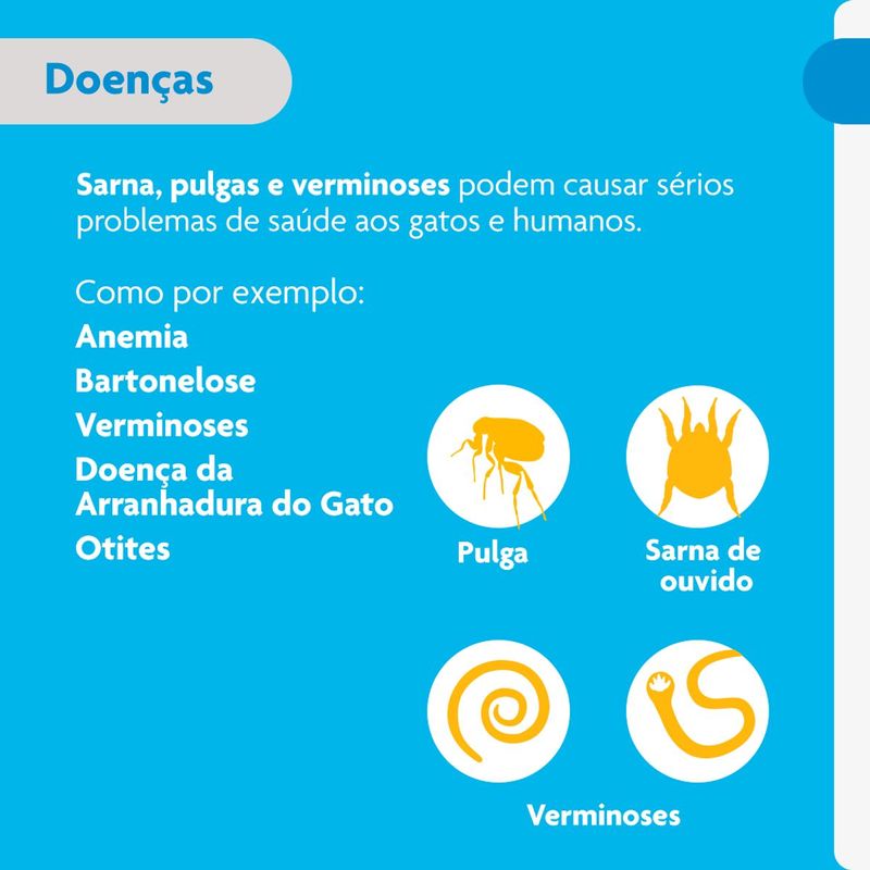 Antipulgas  Sarna de Ouvido e Verminoses Bravecto  Gatos Transdermal Plus 2 8 a 6 25kg 250mg 1 Pipeta 0 89ml MSD Sa de Animal 2