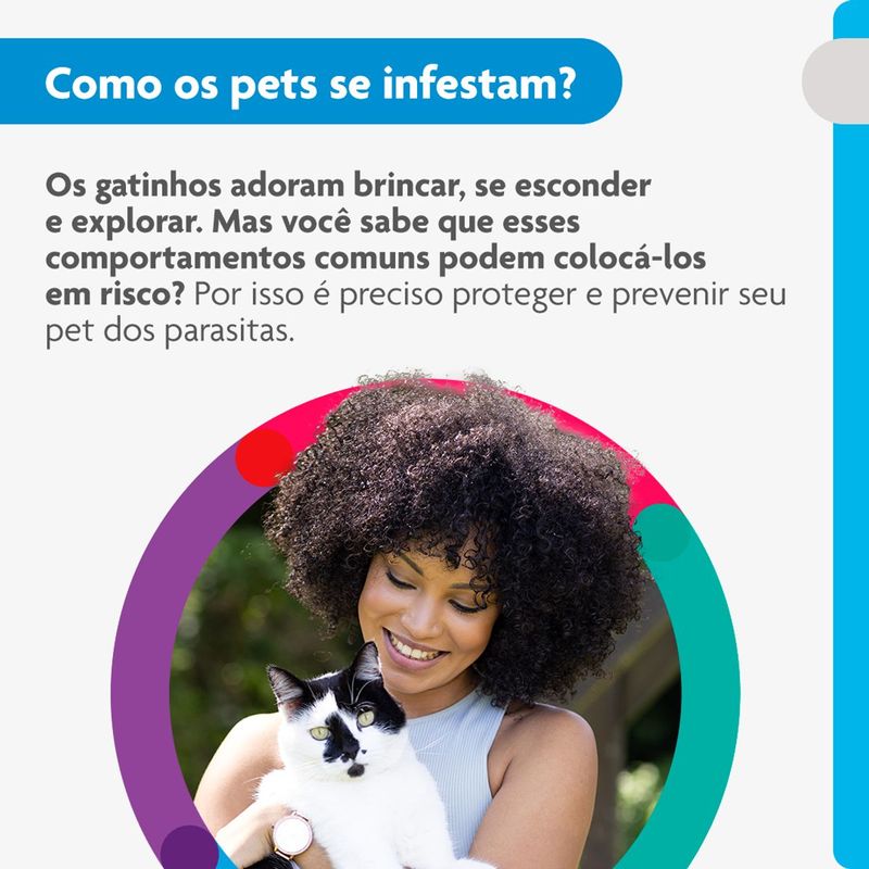 Antipulgas  Sarna de Ouvido e Verminoses Bravecto  Gatos Transdermal Plus 2 8 a 6 25kg 250mg 1 Pipeta 0 89ml MSD Sa de Animal 3