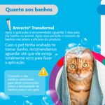 Antipulgas  Sarna de Ouvido e Verminoses Bravecto  Gatos Transdermal Plus 2 8 a 6 25kg 250mg 1 Pipeta 0 89ml MSD Sa de Animal 9